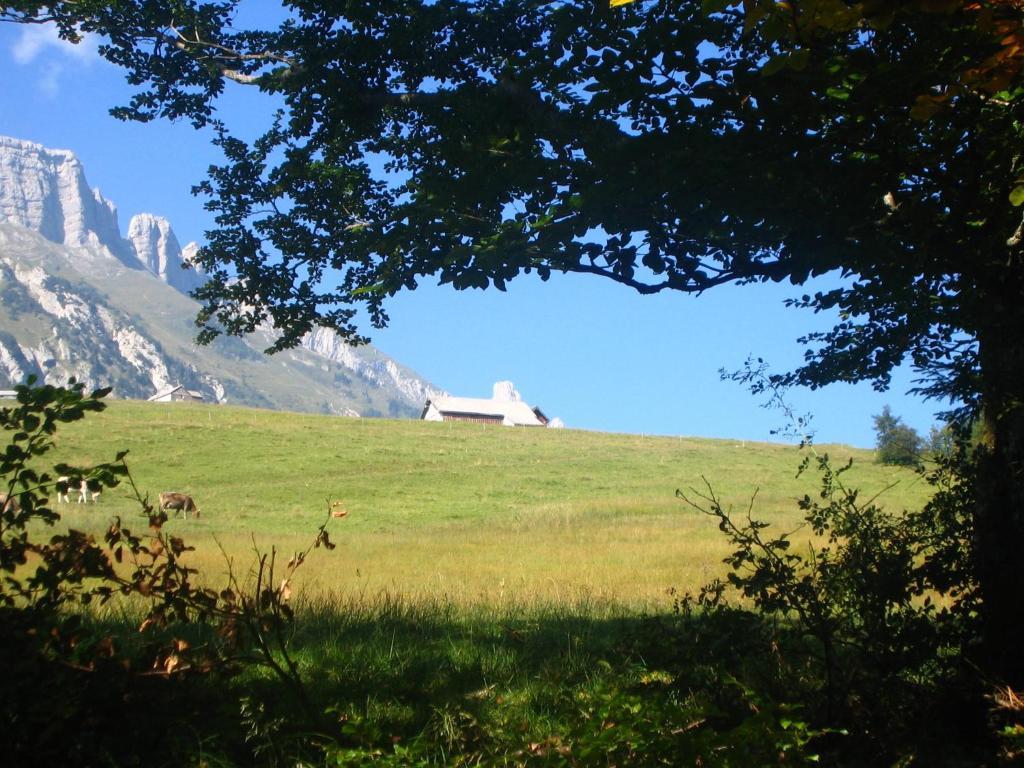 Zimmer&z'Morgä Schönenboden Wildhaus Exterior foto
